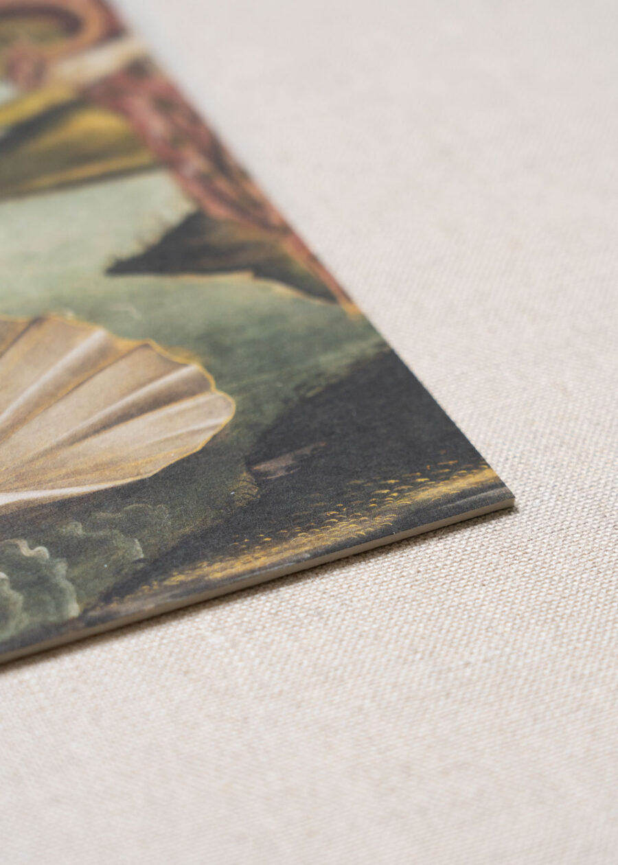 VENUS A5 Print auf doppelgedruckten, dicken Finnenkarton à 600 gqm